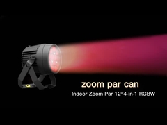 Iluminação de palco LED interior 16*10W 4 In1 RGBW Zoom 5-60 graus Par Light