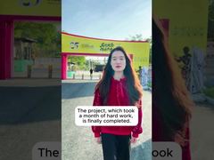 Caso do Projeto Shunde Bruce Lee