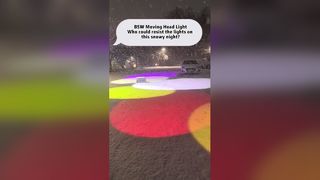 Quem poderia resistir às luzes nesta noite de neve?