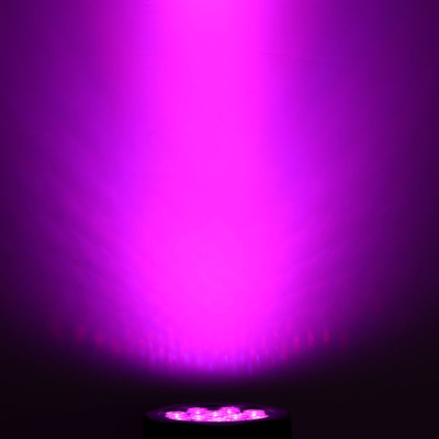 12*10W RGBW 4 em 1 paridade do diodo emissor de luz IP65 pode encenar luzes para o evento mostra exterior