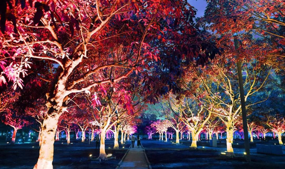 DMX512 RGBW 36W Árvore LED Luz de inundação LED Lâmpada de jardim LED Para projeção de paisagem