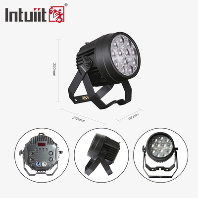 12x10W Potentes luzes de discoteca DMX 512 Som ativado LED Par pode luzes de palco