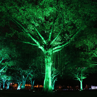 IP65 6W Alumínio para exterior LED à prova d'água Lâmpada de inundação de árvore de espinha ajustar Spotlight Iluminação de jardim paisagem