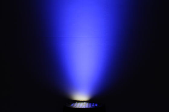 Luz de inundação de árvores decorativas RGBW