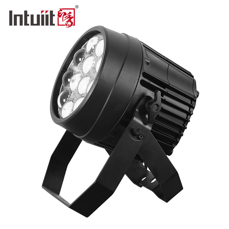 A paridade interna do diodo emissor de luz de 12x10w Rgbw pode encenar Ip65 claro DJ conduziu o grau da luz 5 - 60 da paridade do zumbido