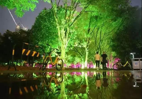 DMX512 RGBW 36W Árvore LED Luz de inundação LED Lâmpada de jardim LED Para projeção de paisagem