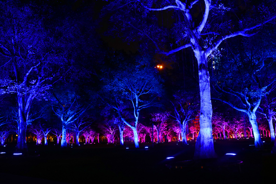 36w Outdoor Colors Rgb Led Garden Tree Flood Light Para Projeção de Paisagem